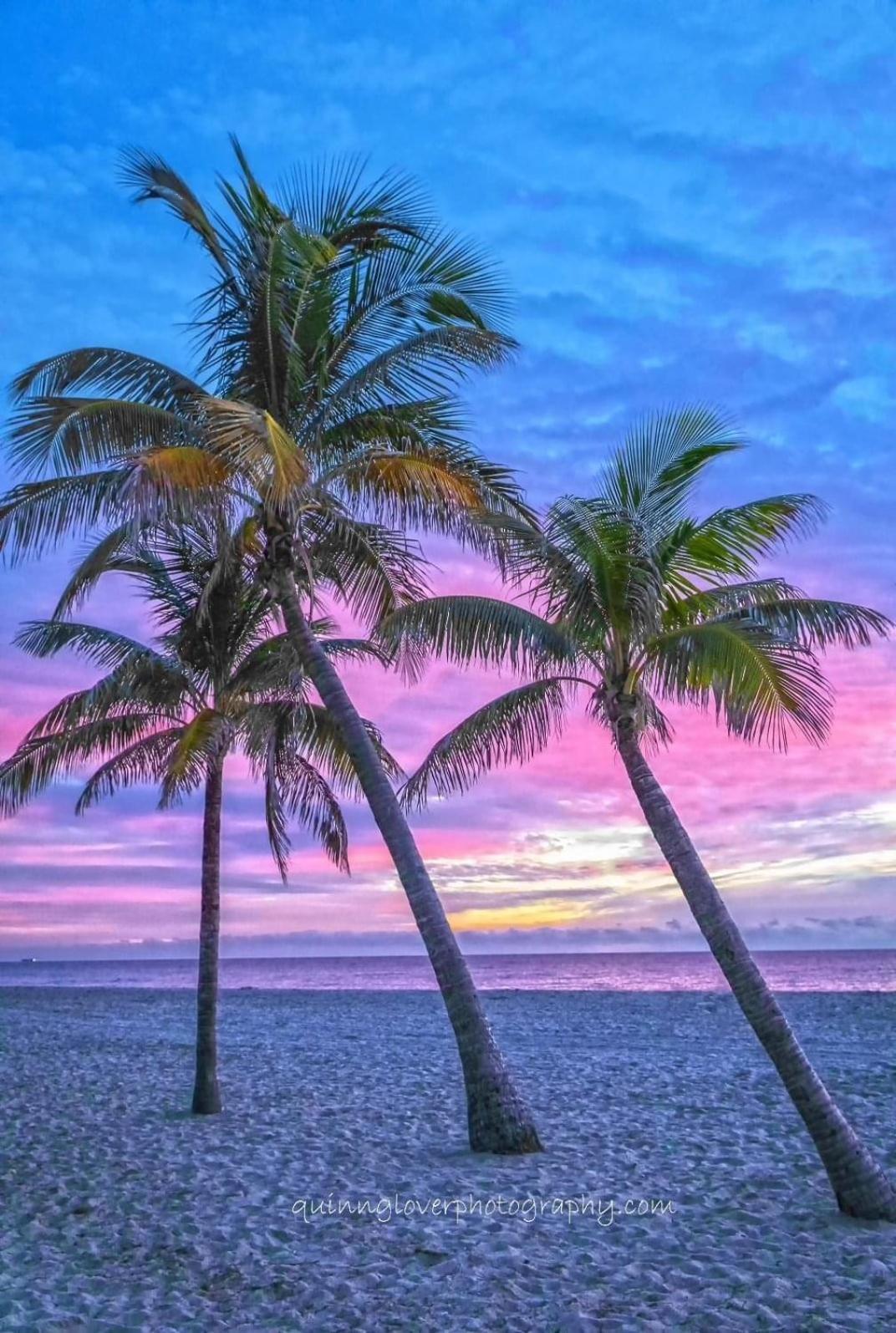 Welcome To The Paradise Fort Myers Beach Eksteriør bilde
