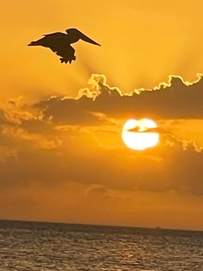 Welcome To The Paradise Fort Myers Beach Eksteriør bilde